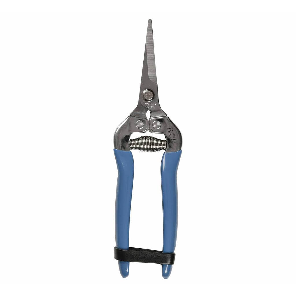 Gardening shears with blue handles on a white background