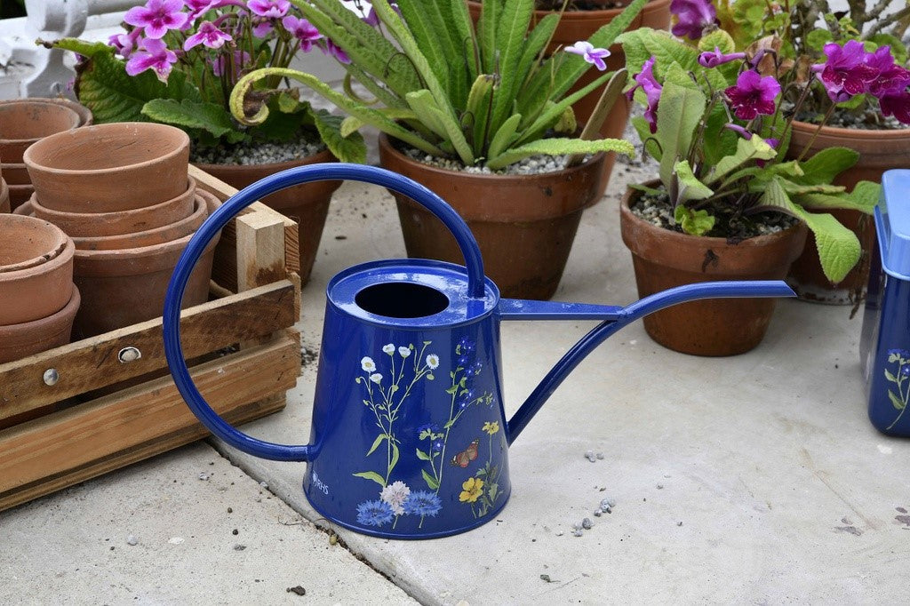 Blue watering can with floral design on a patio with potted plants