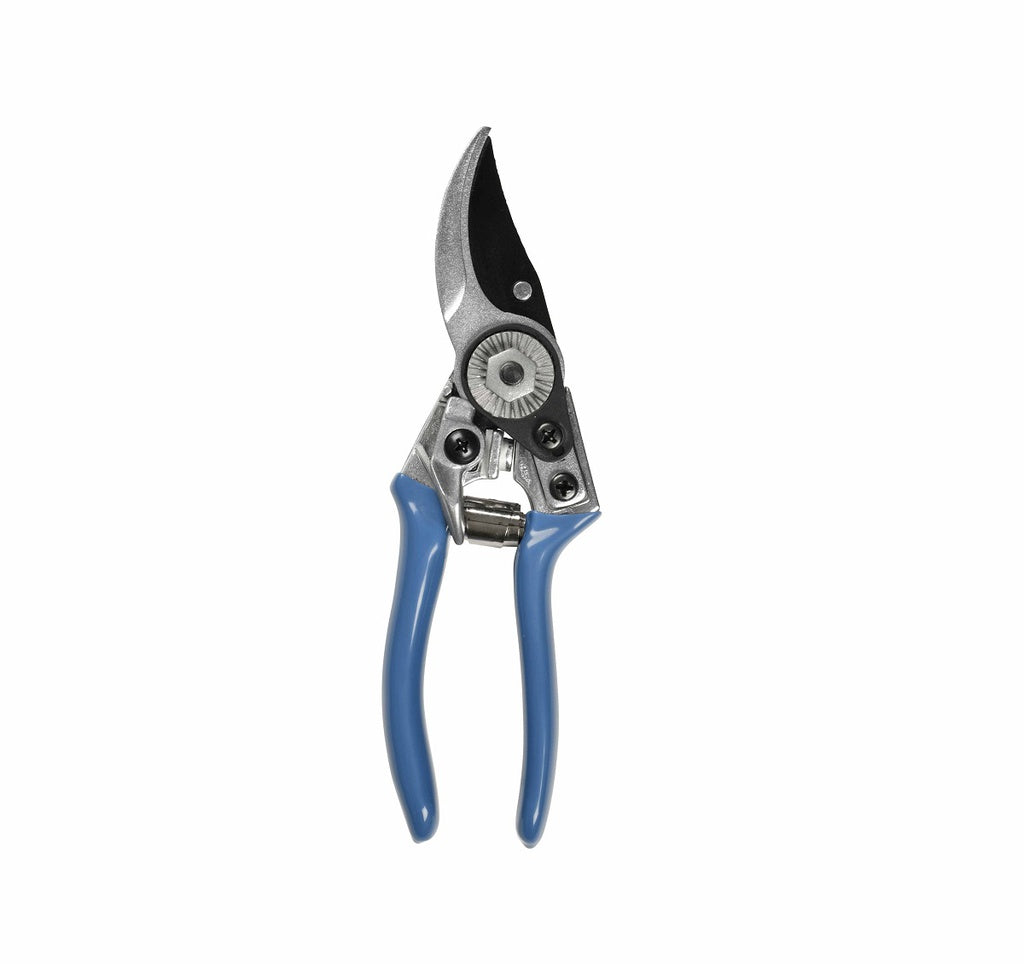 Gardening shears with blue handles on a white background