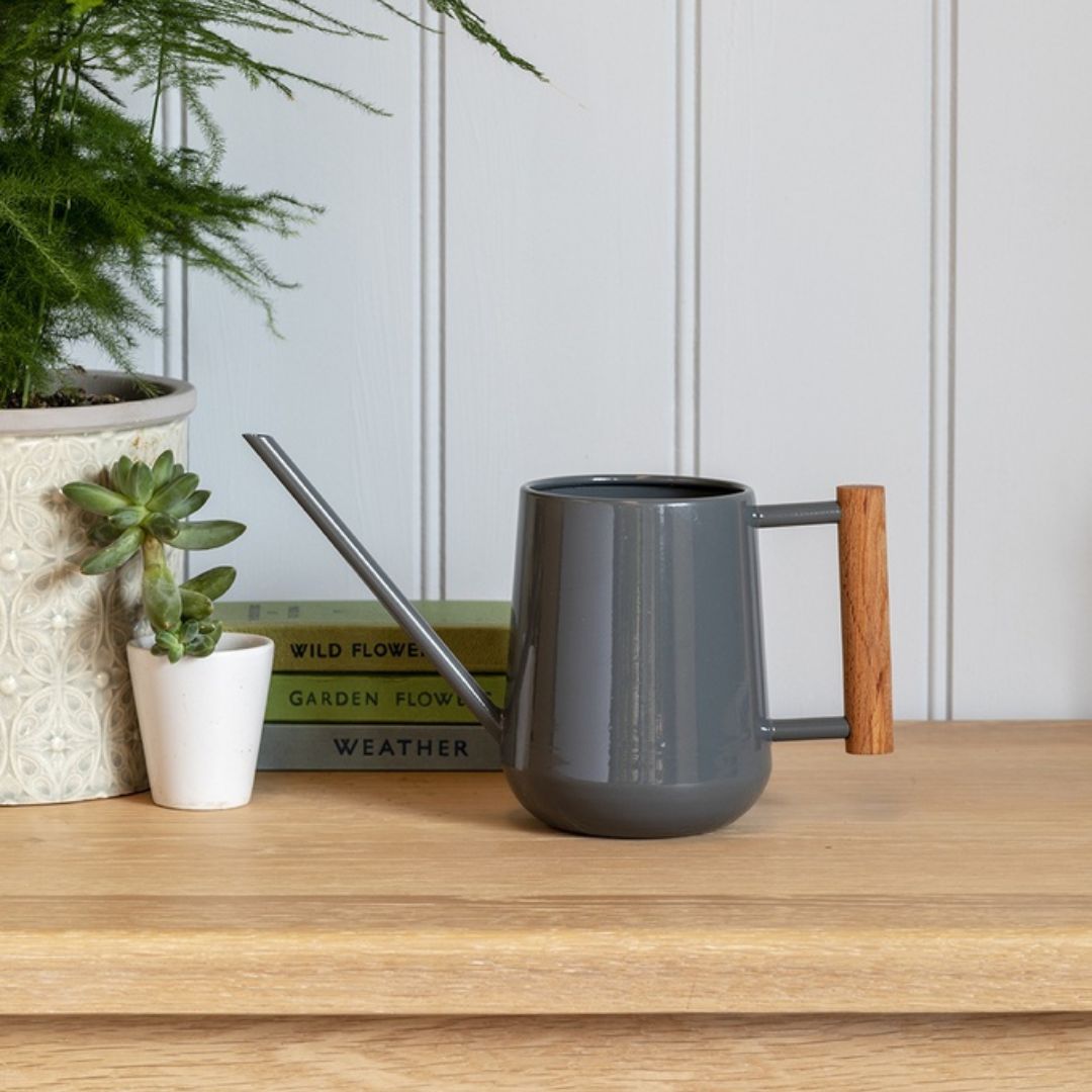 Gray watering can with wooden handle on a wooden surface with plants and books in the background