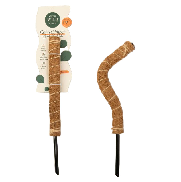 Coco Climber plant pole with packaging on a whitebackground
