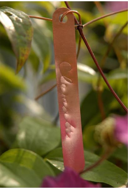 Copper Plant Label Tags