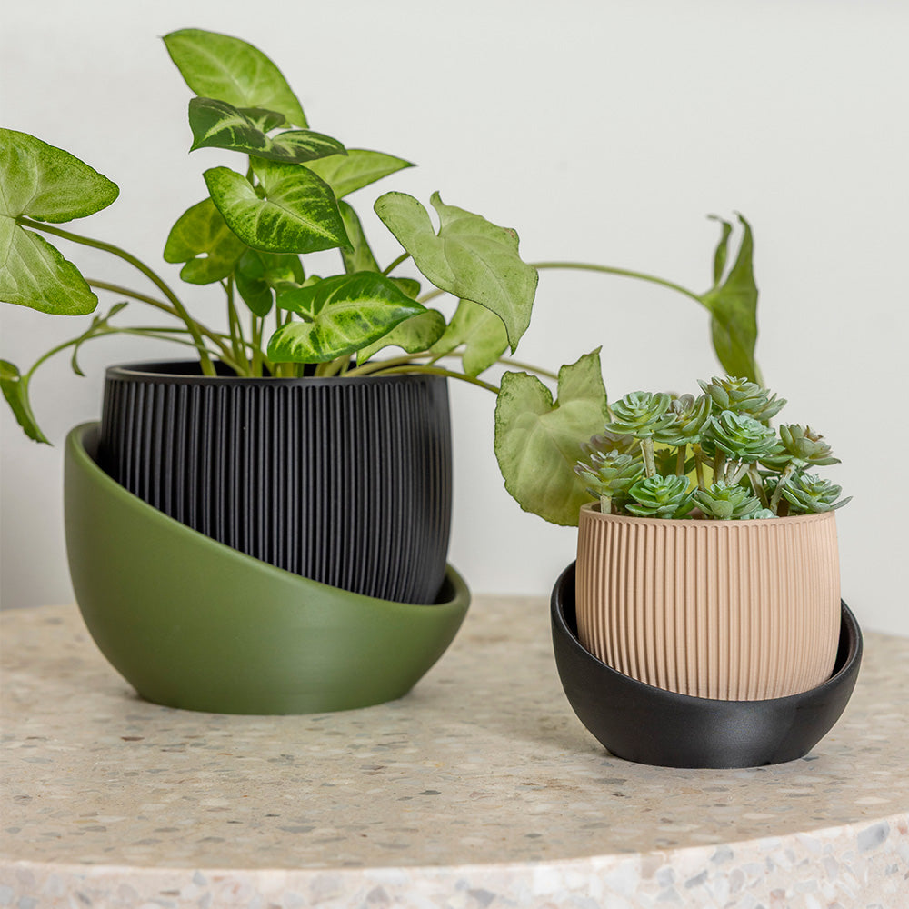 The Cradle Tabletop Planter - Regular