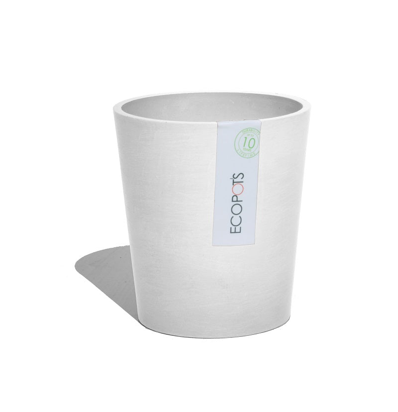 White pot with 'Ecopots' label on a white background