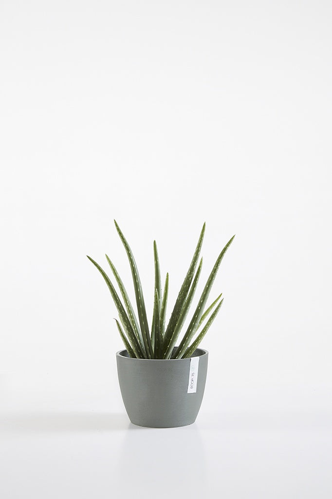 EcoPots Stockholm 16cm Pot - Blue Grey