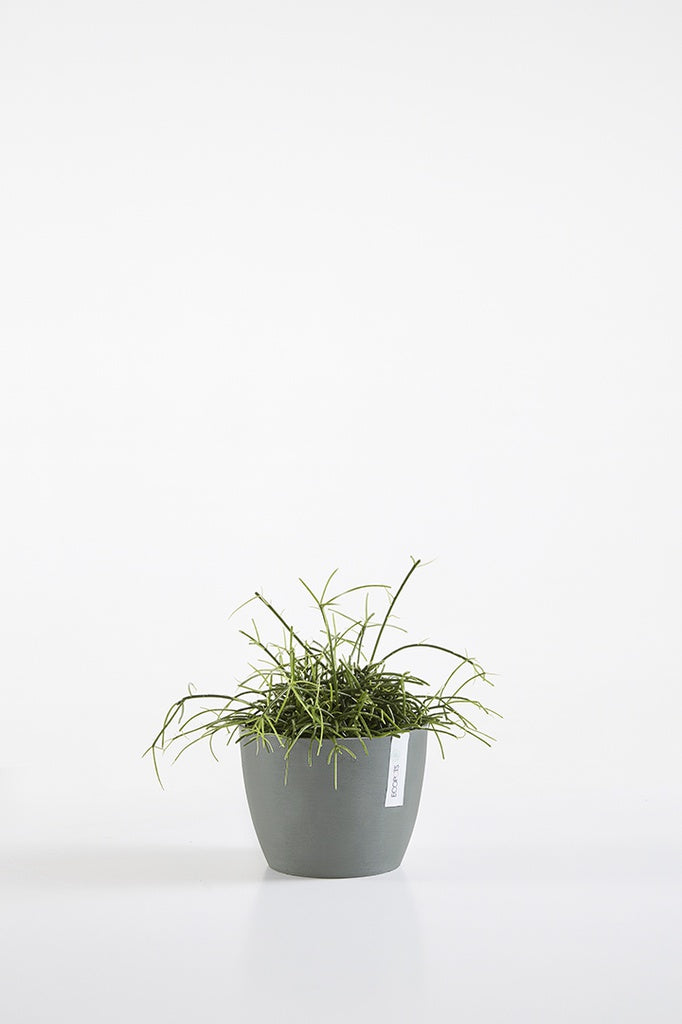 EcoPots Stockholm 16cm Pot - Blue Grey