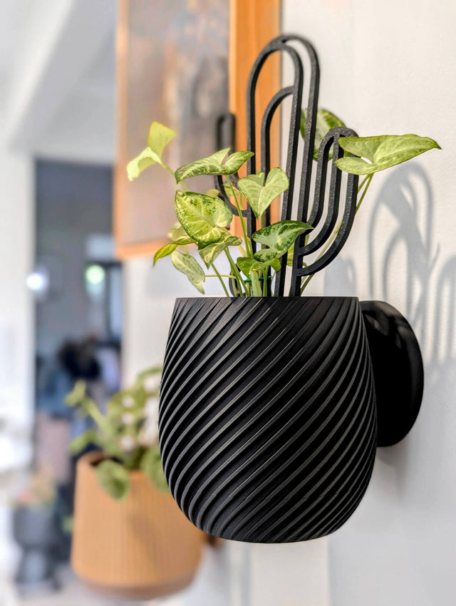Swirl Wall Planter - 11.4cm