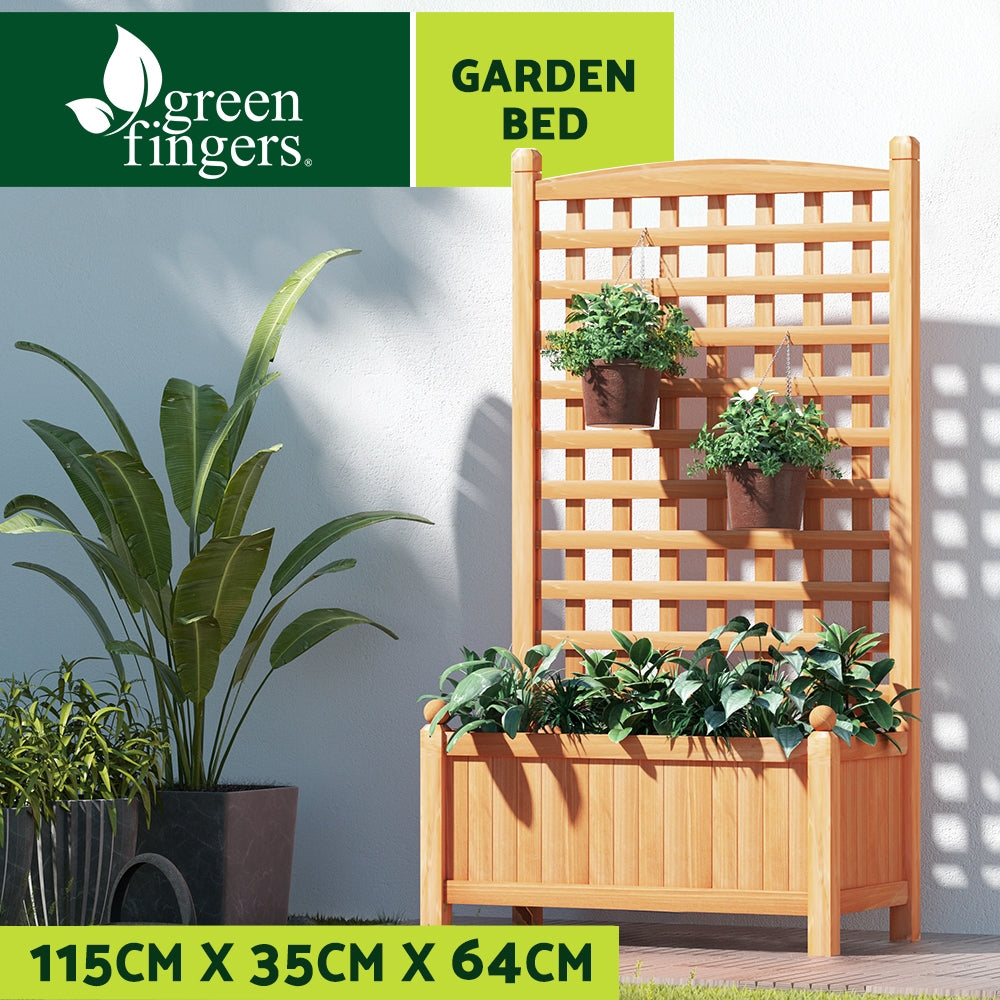 Wooden garden bed with trelise