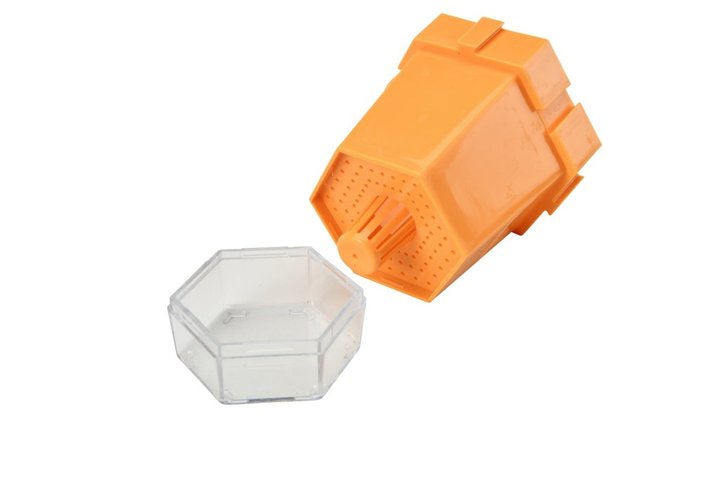 orange childrens plant pot with clear cup base on white background