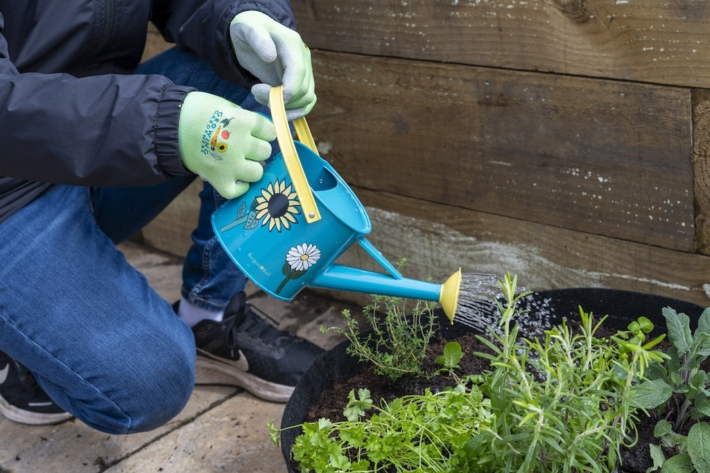 child watering herbs with blue watering can with flower images on side, yellow spout