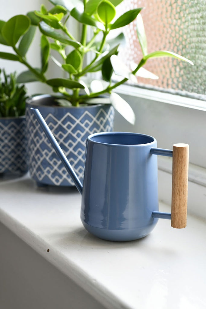 Indoor Watering can blue on windowsill