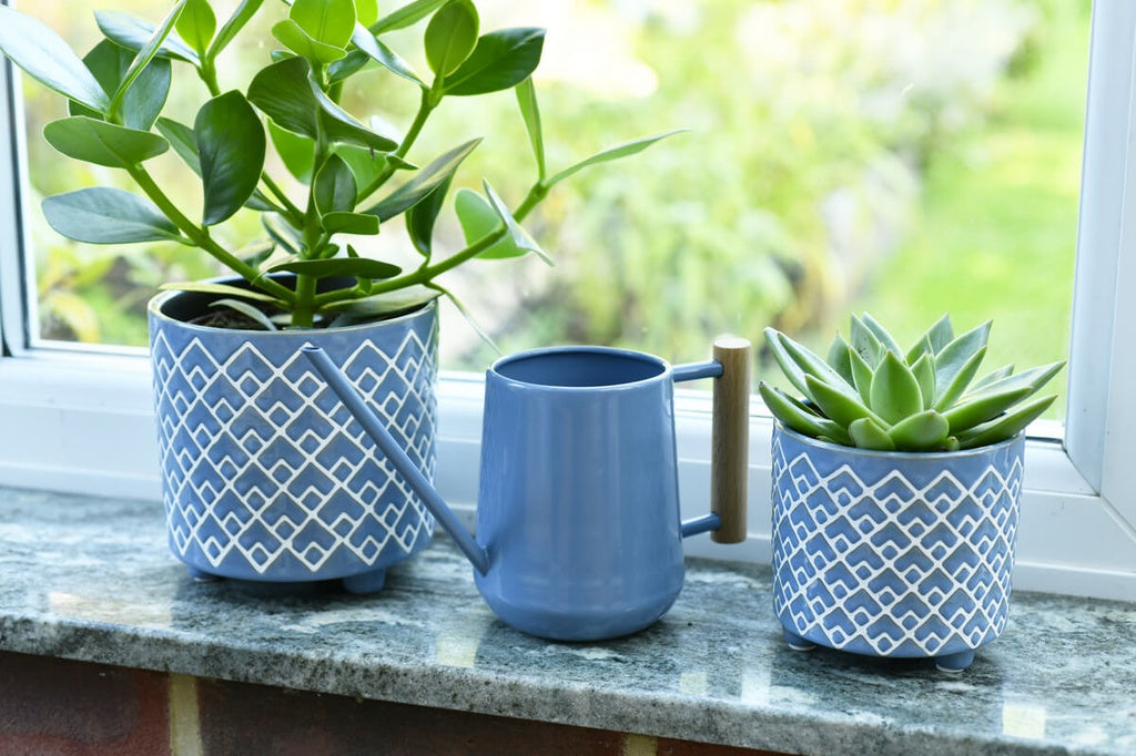stylish blue indoor watering can for plants