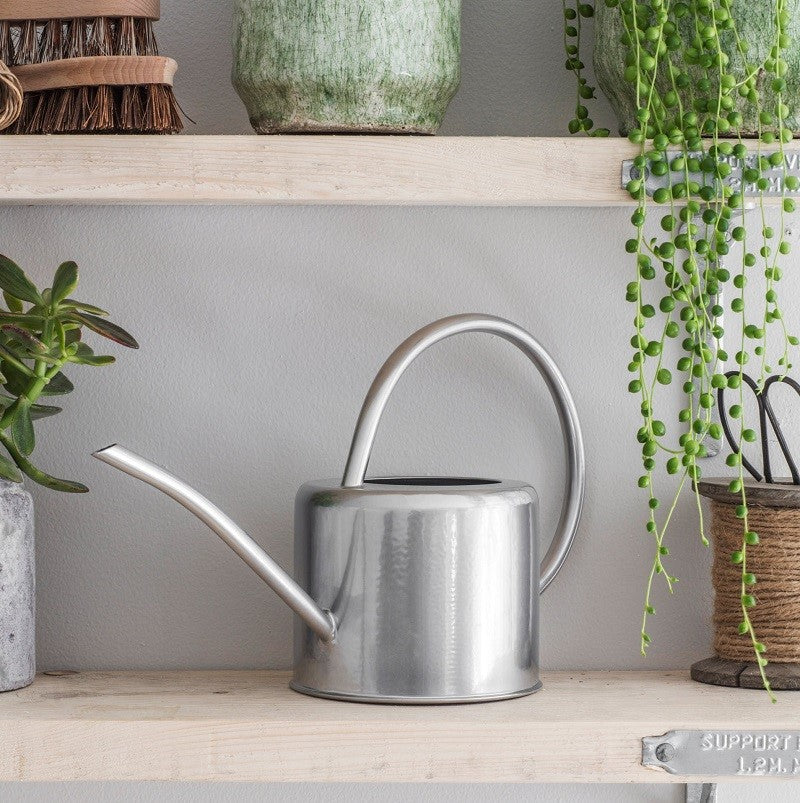 Silver watering can on a wooden shelf with plants in the background