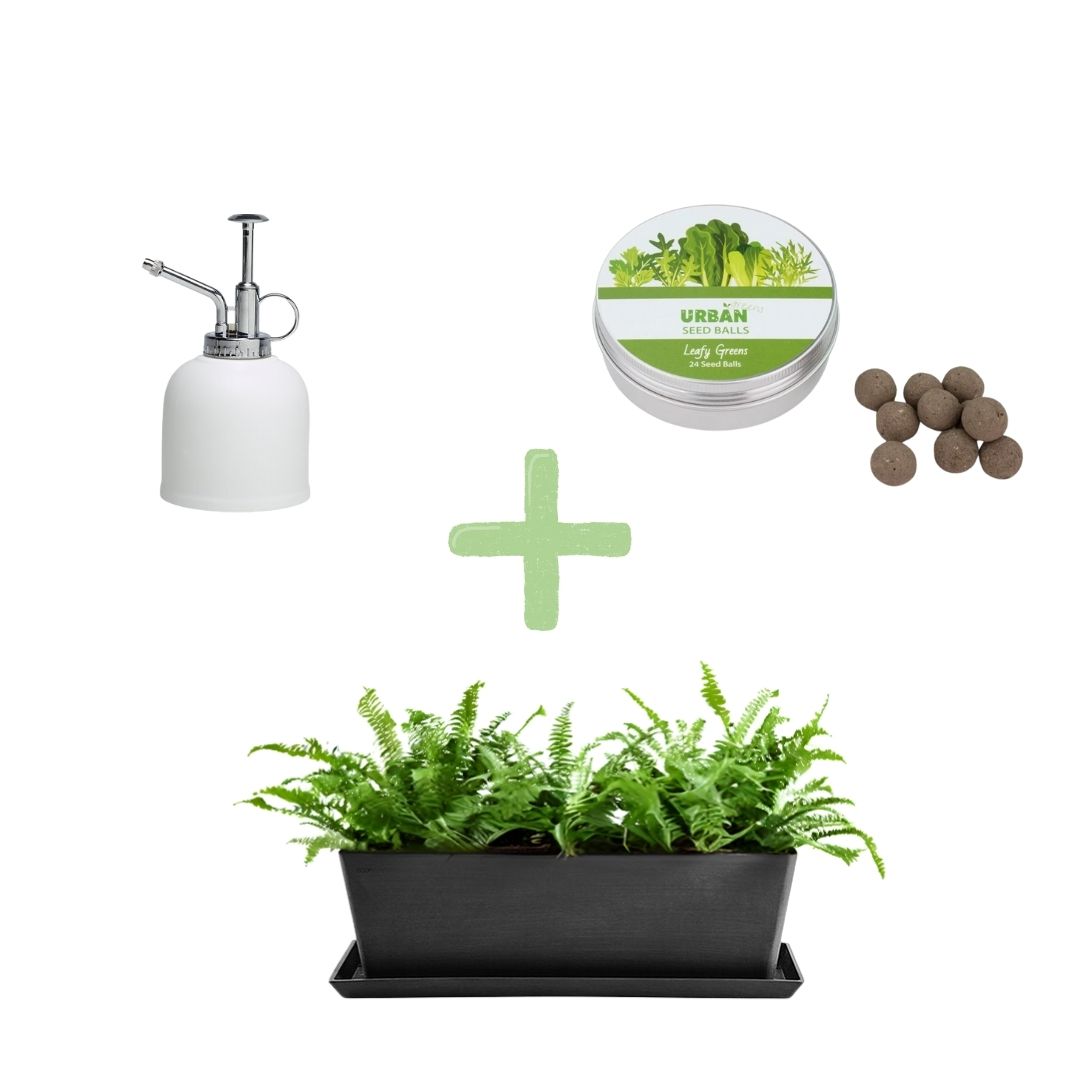 Collection of gardening items including a planter, plant mister, and seed balls on a white background