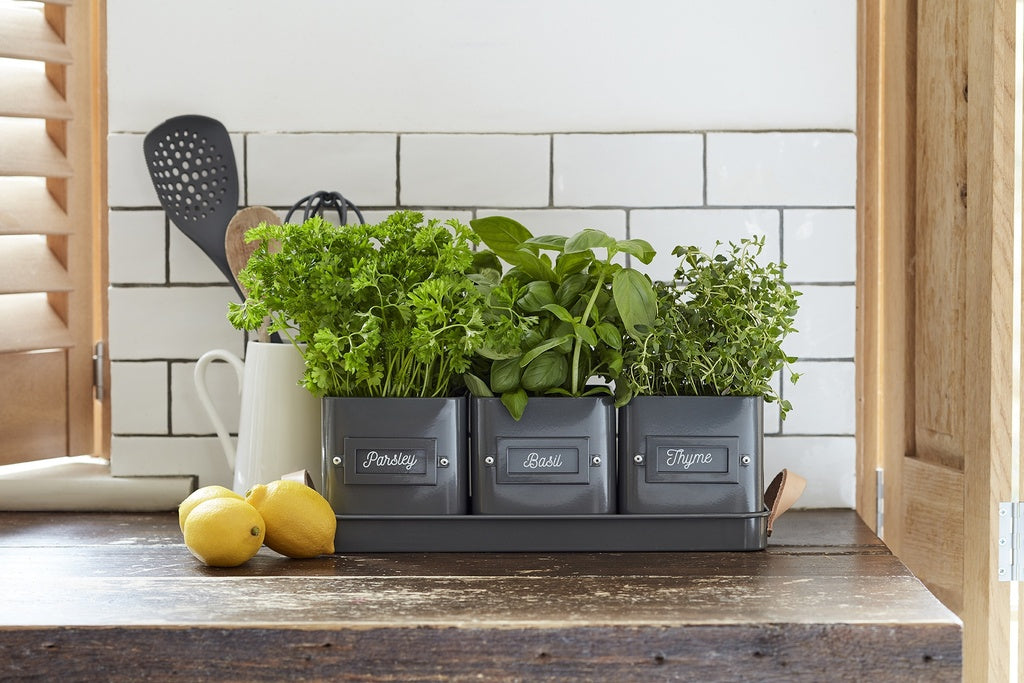 metal herb indoor pots