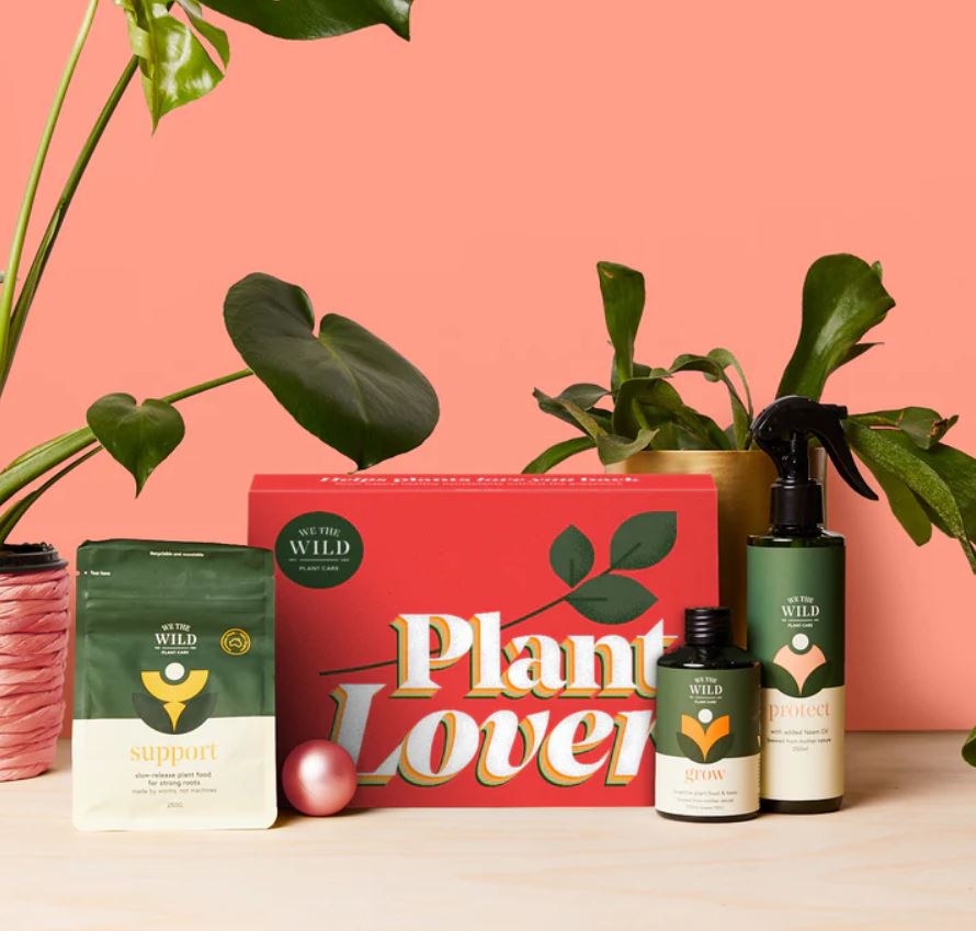 Collection of plant care products including a box labeled 'Plant Lover' on a pink background.