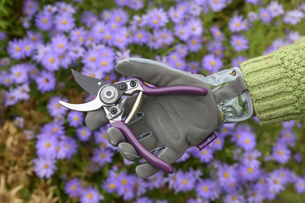 Hand wearing a gardening glove holding garden shears with purple flowers in the background