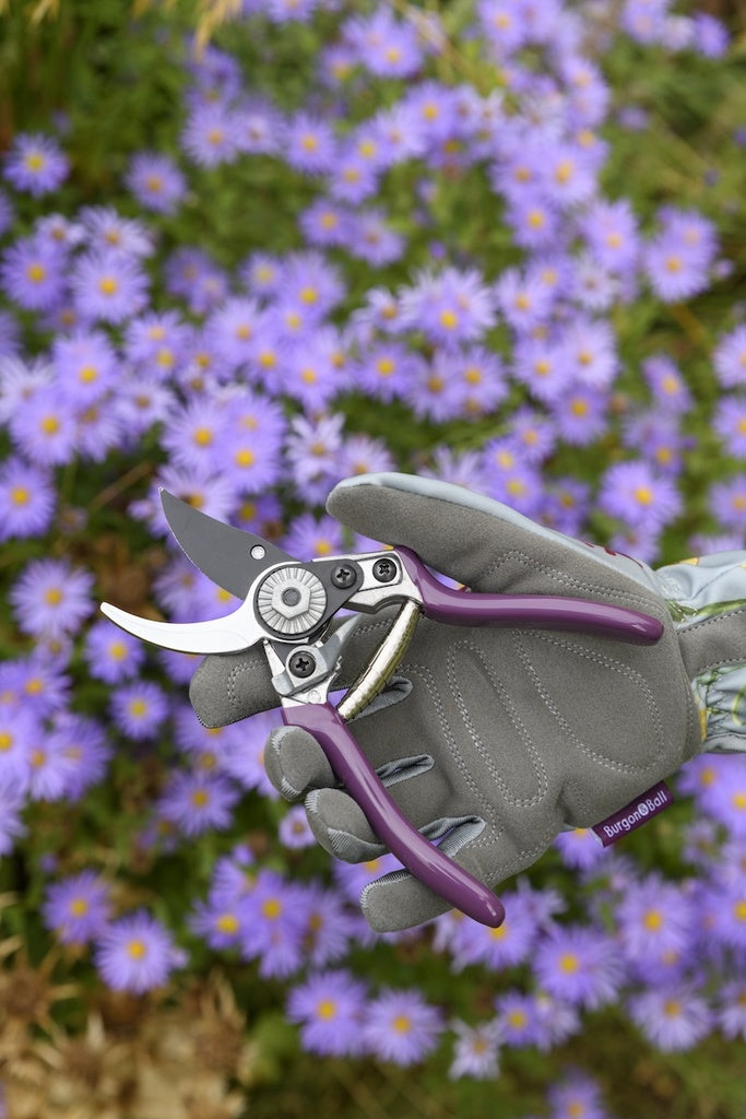 Hand wearing a gardening glove holding garden shears with purple handles against a background of purple flowers.