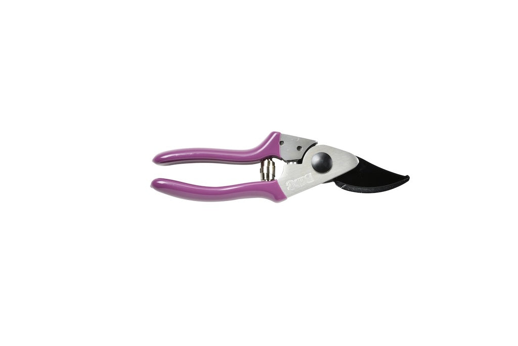 Gardening pruner with purple handle on a white background
