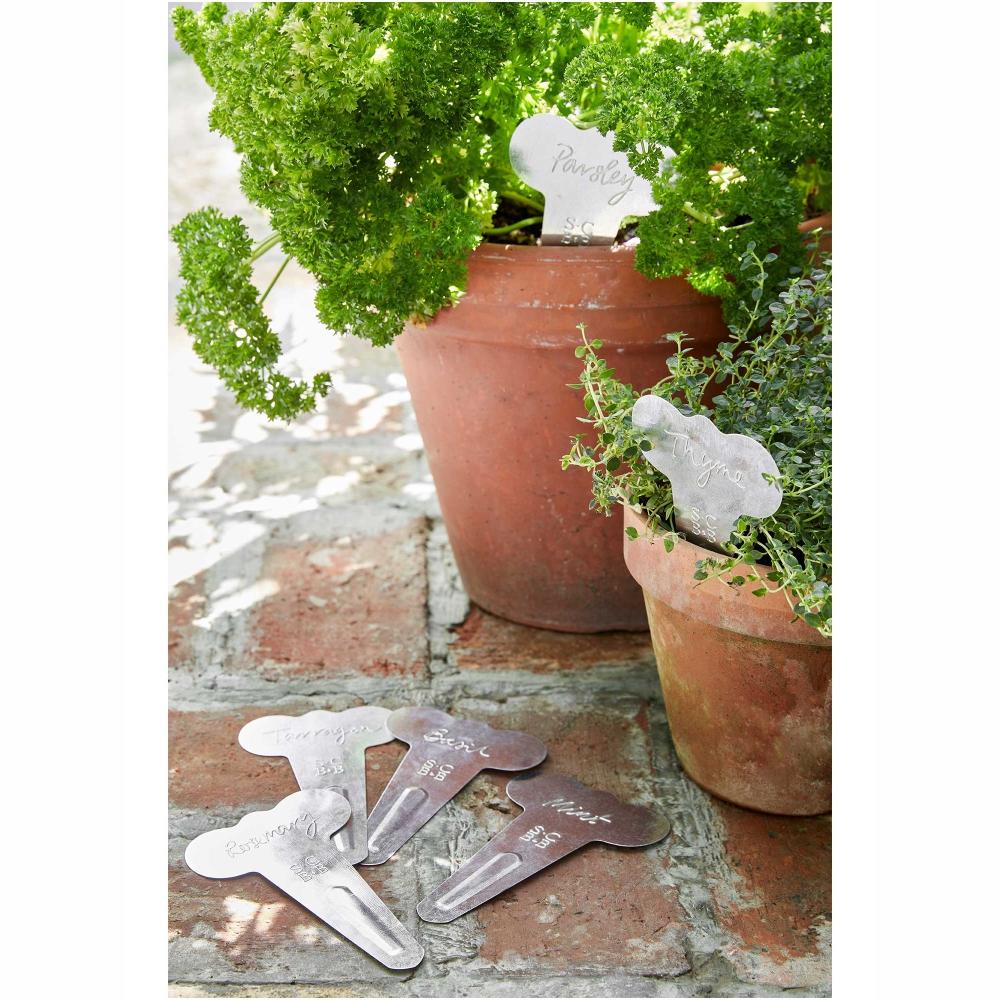 Terracotta pots with plants and metal plant markers on a stone surface