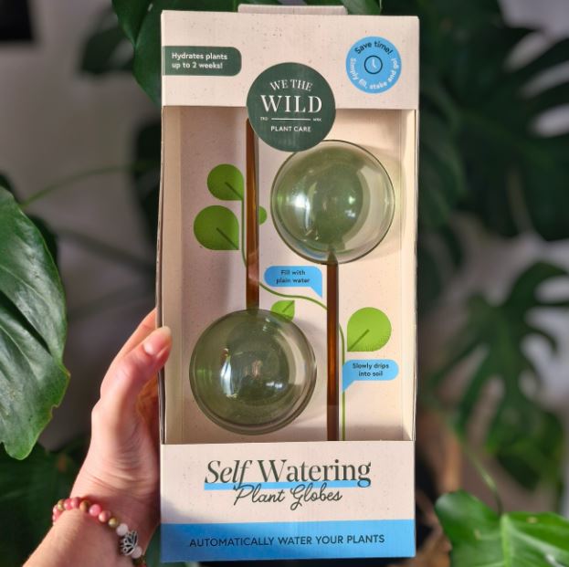 We the Wild - Self‑Watering Plant Globes: 2 Pack for Indoor Pots