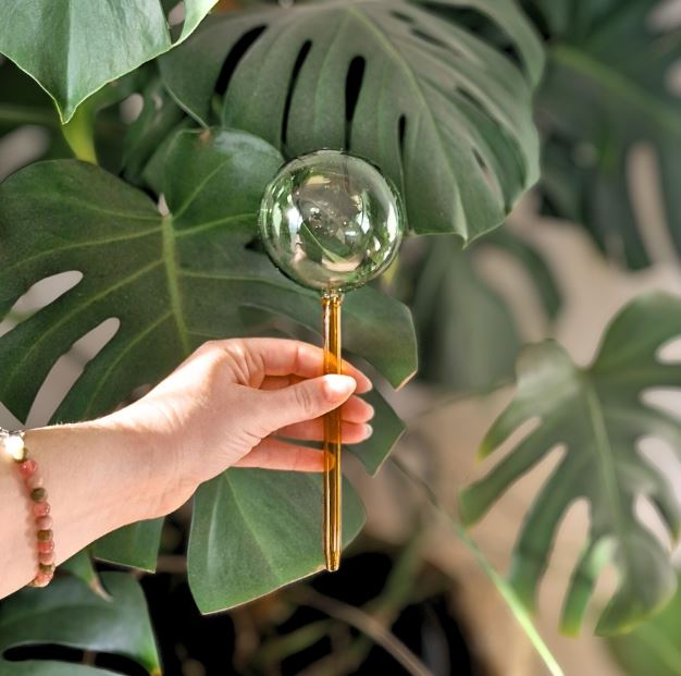 We the Wild - Self‑Watering Plant Globes: 2 Pack for Indoor Pots