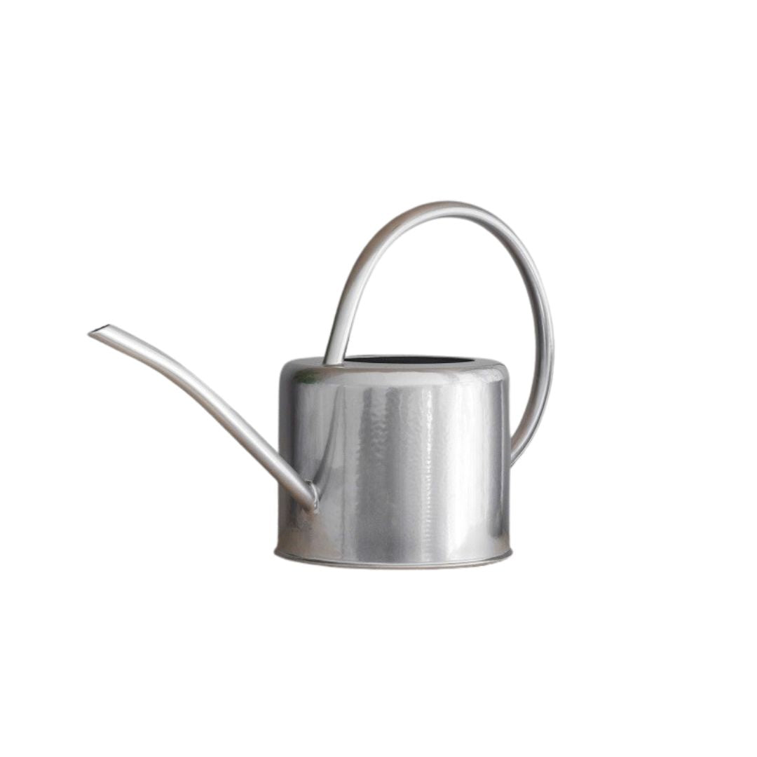 Silver watering can on a white background