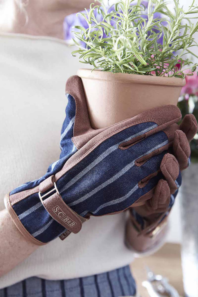 Sophie Conran Striped Everyday Gardening Glove - Navy Blue and Tan