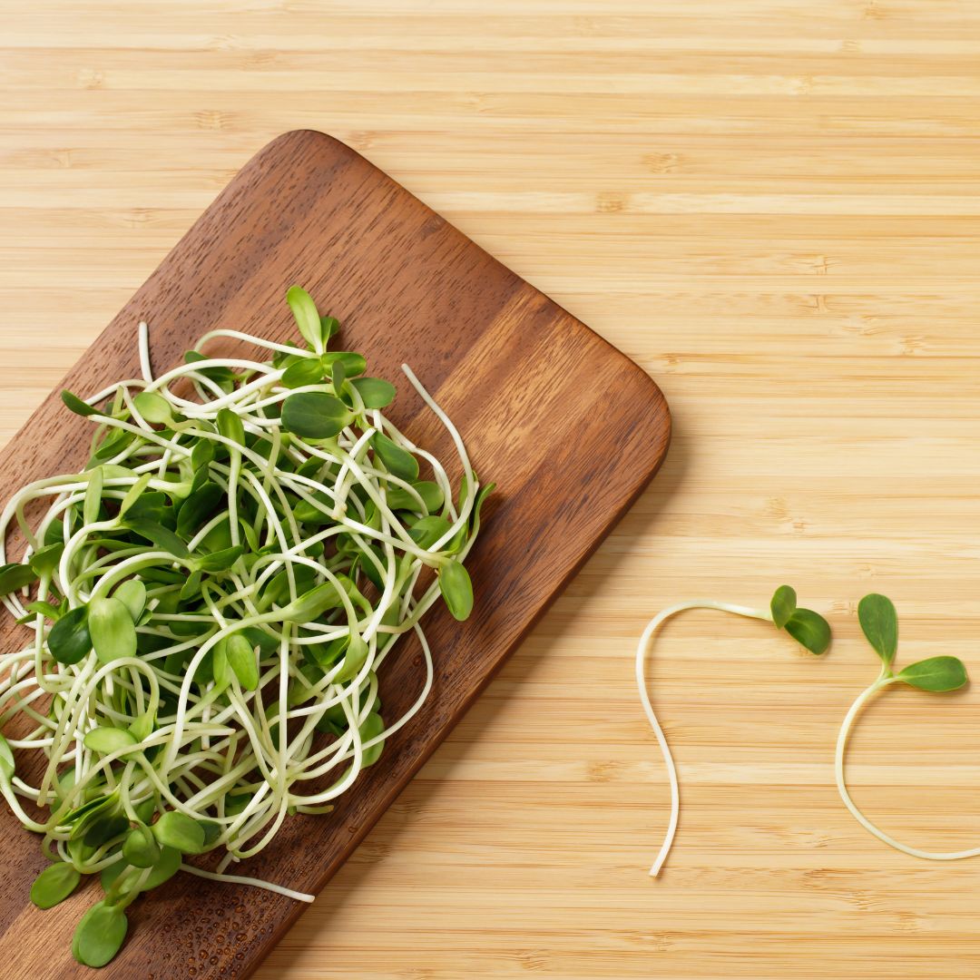 Fresh green sunflower sprouts on a wooden cutting board with a bamboo background