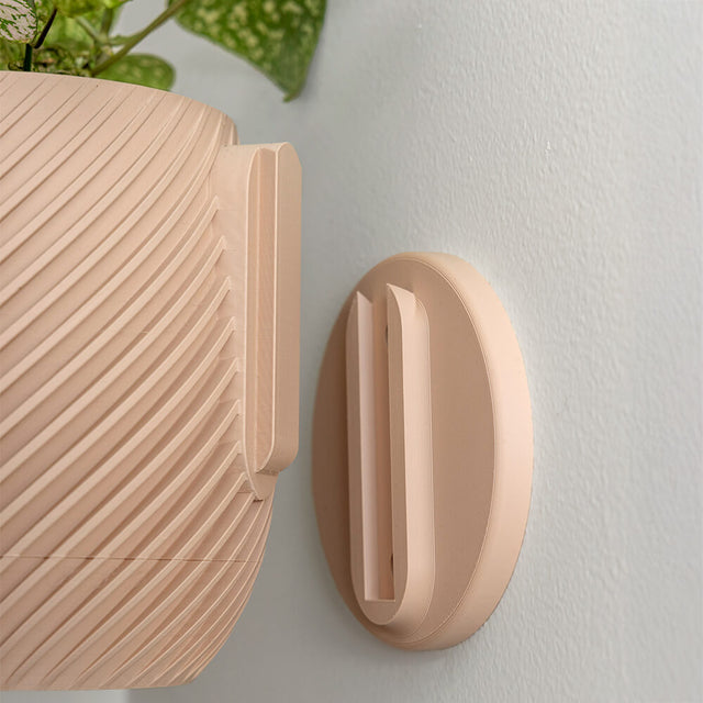 Swirl Wall Planter - 11.4cm