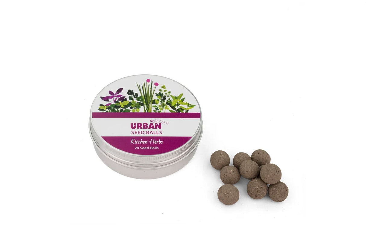 Urban Green Seed Balls - Kitchen Herbs