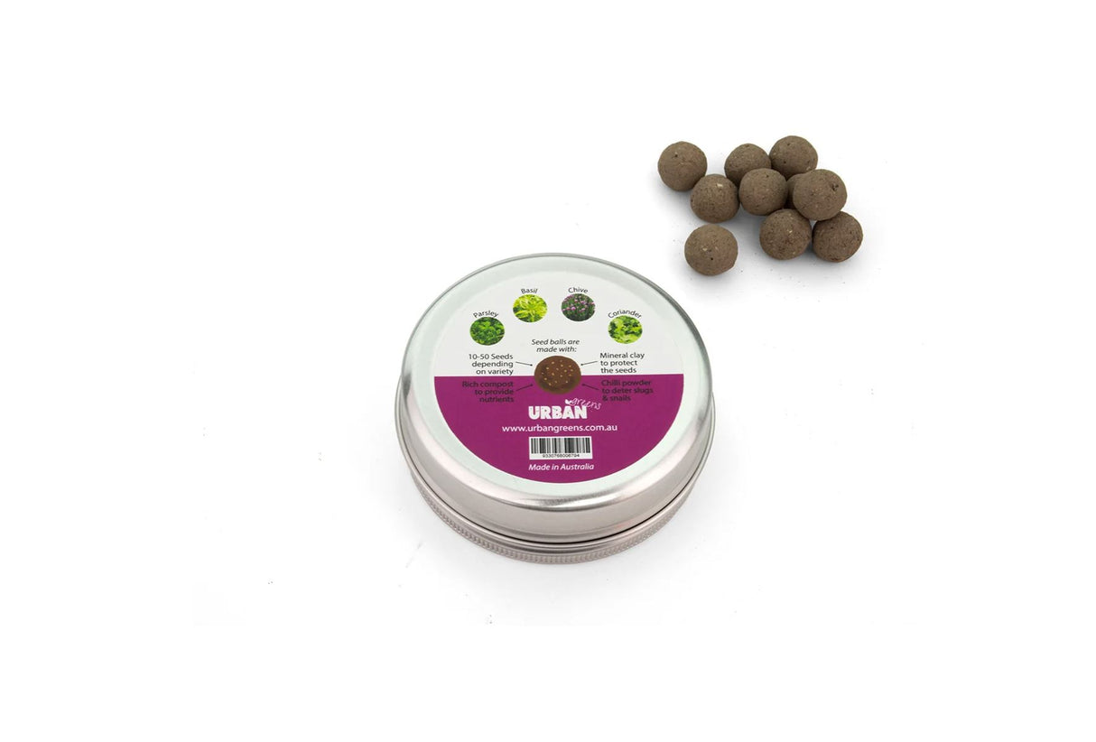 Urban Green Seed Balls - Kitchen Herbs