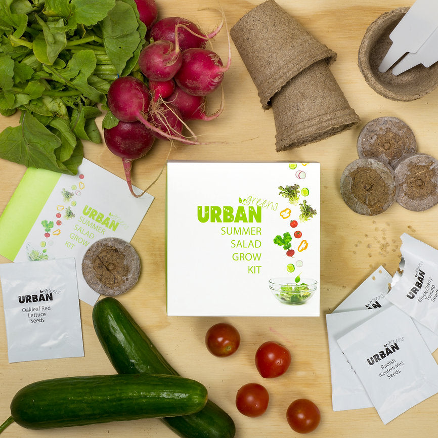 Urban Summer Salad Grow Kit with seeds, soil blocks, and vegetables on a wooden surface