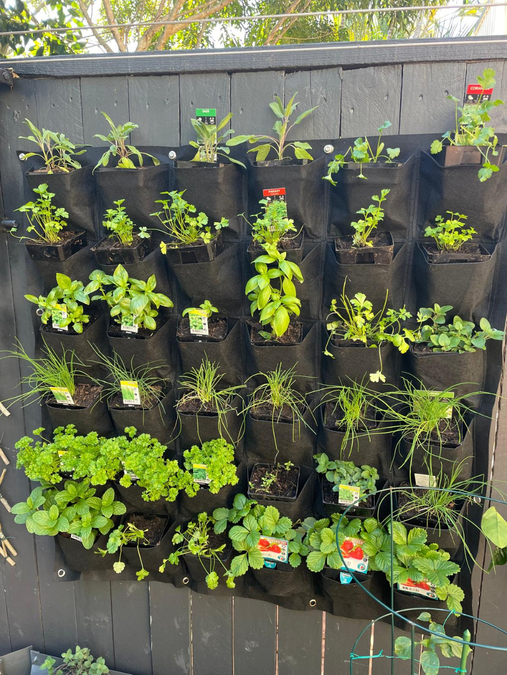 Vertical garden with black fabric pots containing various plants against a wooden fence.