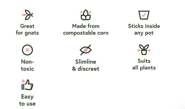 List of benefit for pest traps with icons and text on a white background