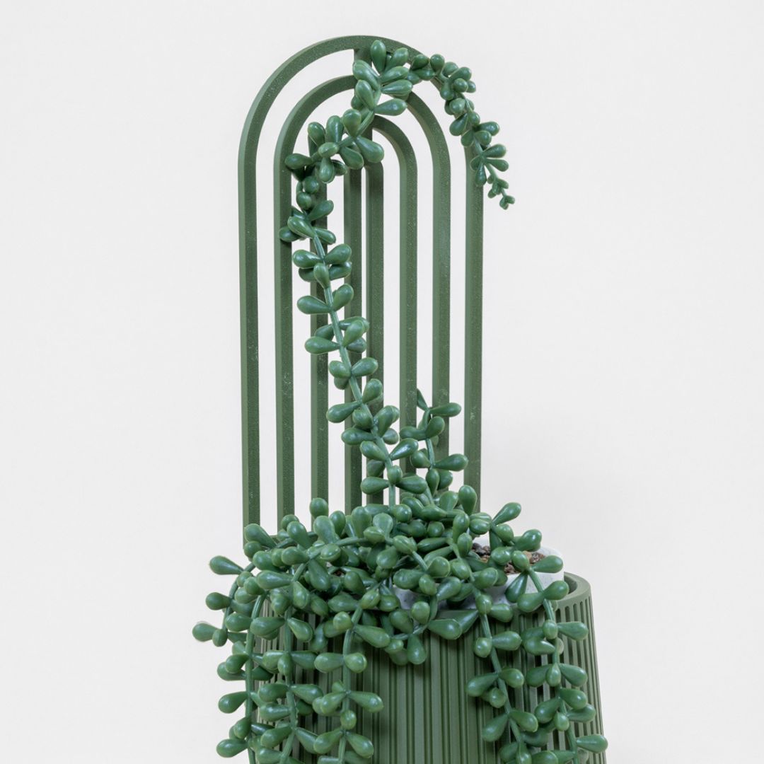 Flourish & Form Plant Trellis (3 Pack)