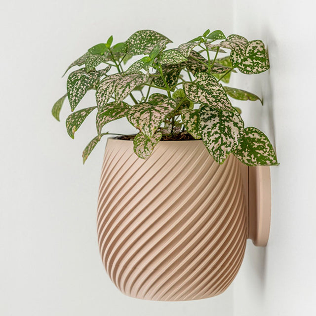 Swirl Wall Planter - 11.4cm