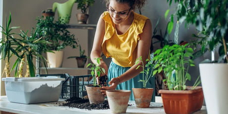 Top Gifts for Plant Lovers in Apartments