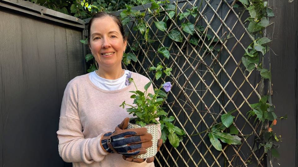 Welcome to Urban Haven Living — Where Style Meets Small-Space Gardening