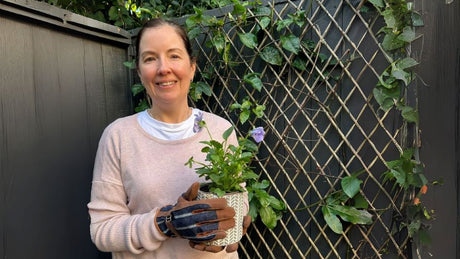 Welcome to Urban Haven Living — Where Style Meets Small-Space Gardening