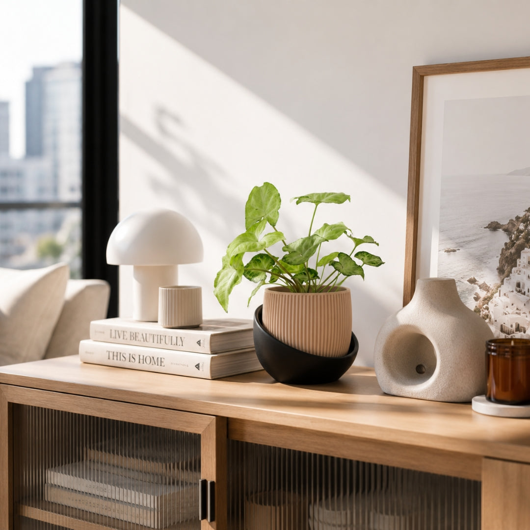 Ecofriendly Pots and Planters