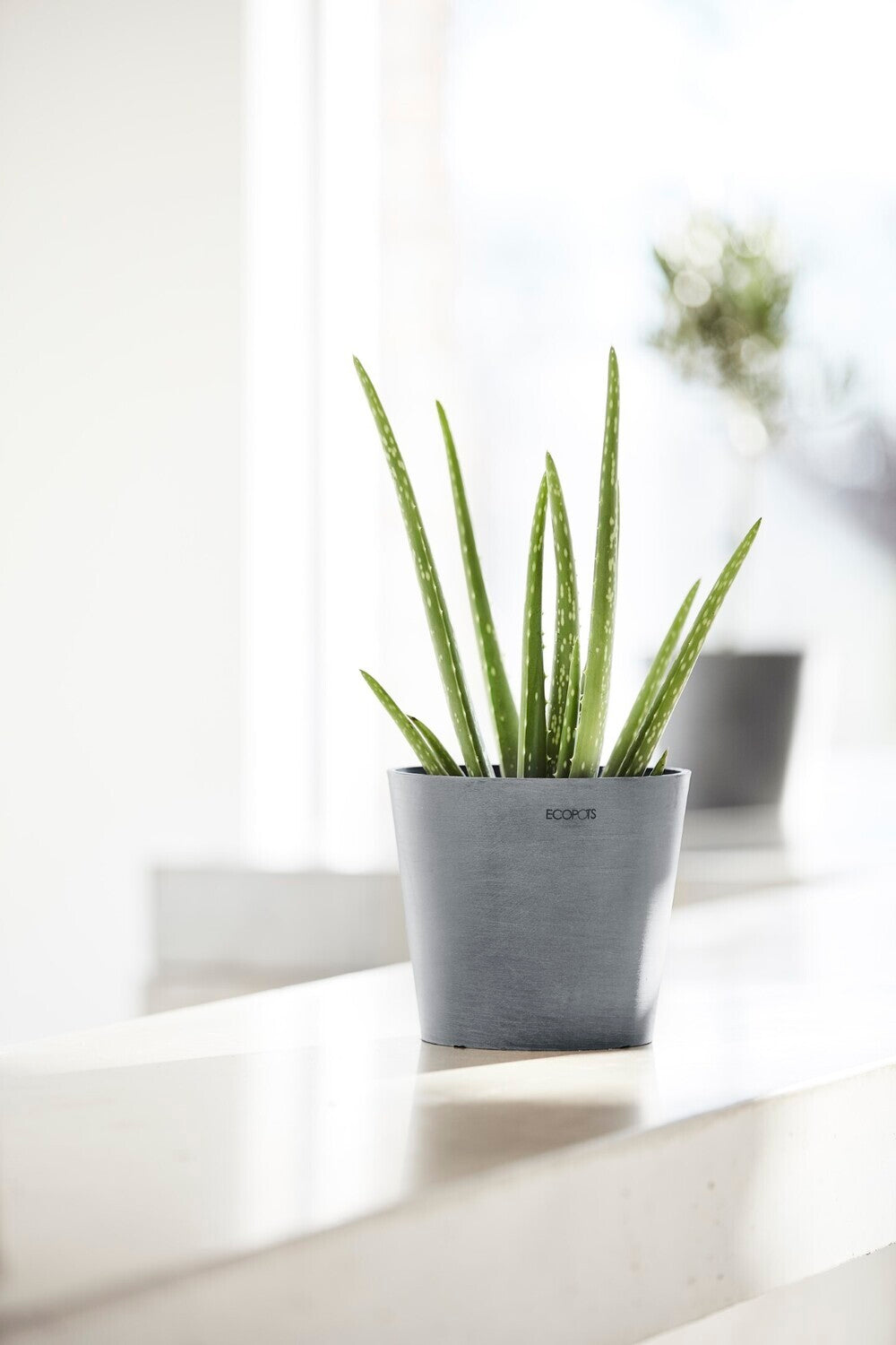 Self-Watering Pots
