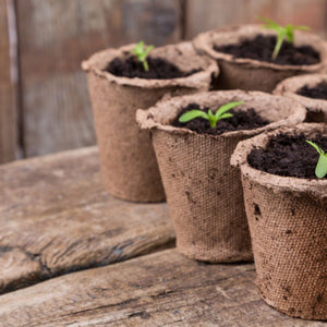 Garden Starter Kits