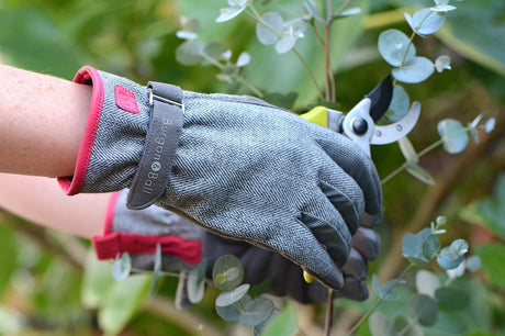 Gloves and Wear