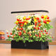 Hydroponic Systems