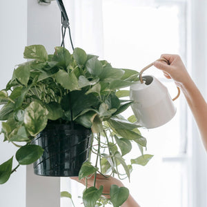 Watering Cans