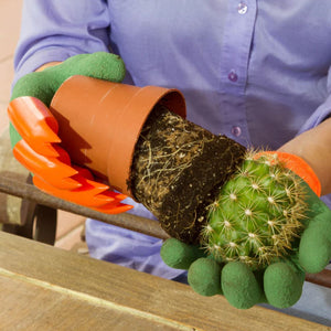 Plant Care and Accessories
