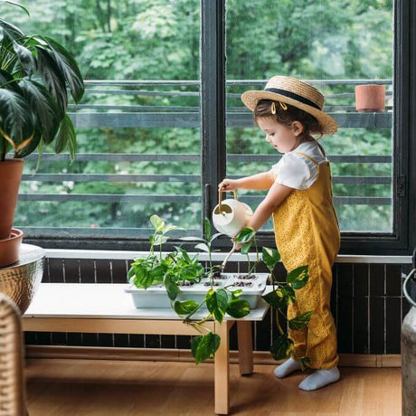 Young Gardeners Gifts