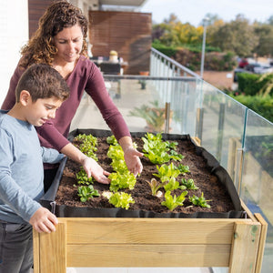 Planters and Raised Garden Beds