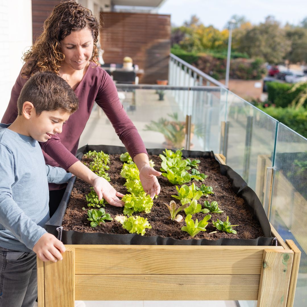 Planters and Raised Garden Beds